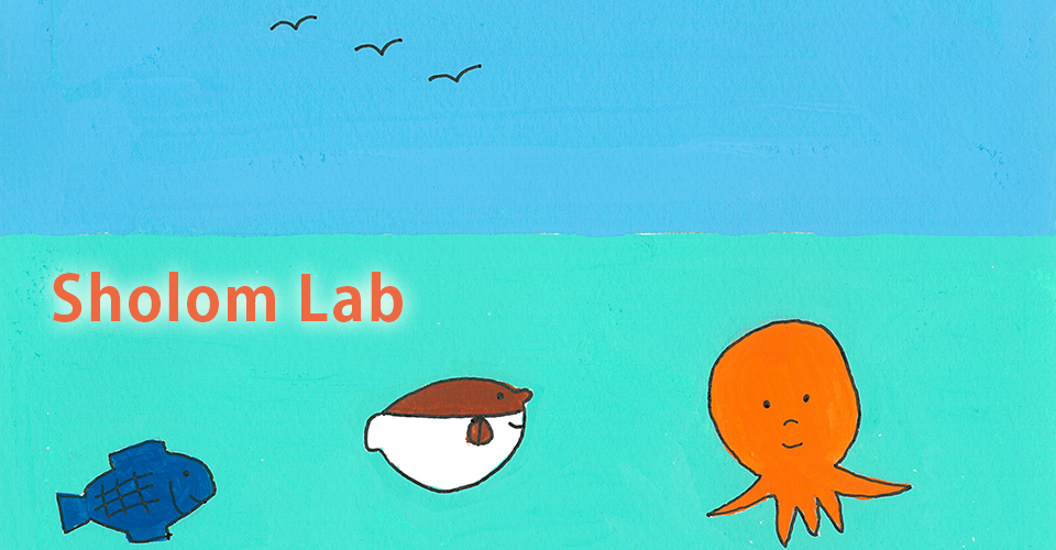 シャロームラボメイン